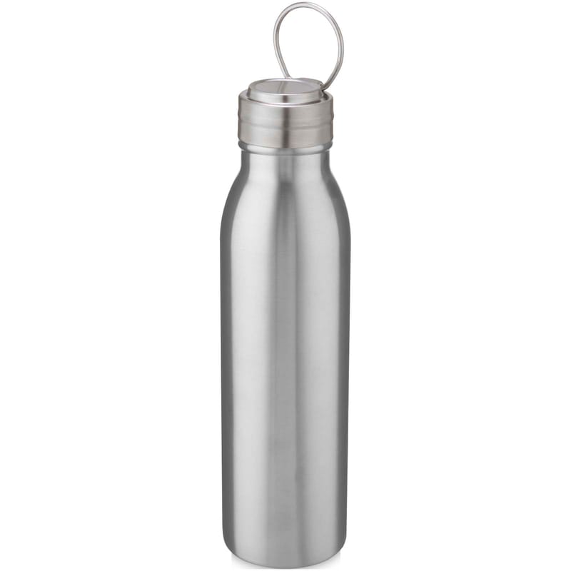 Harper Stainless Steel Water Bottle With Metal Loop - 700ml