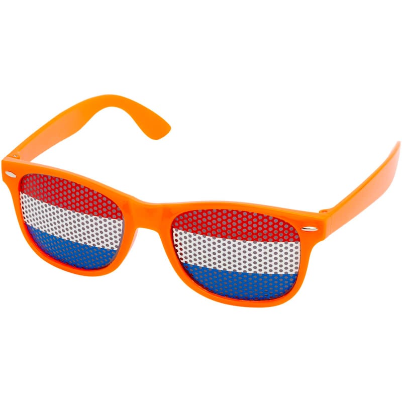 Vision Sunglasses